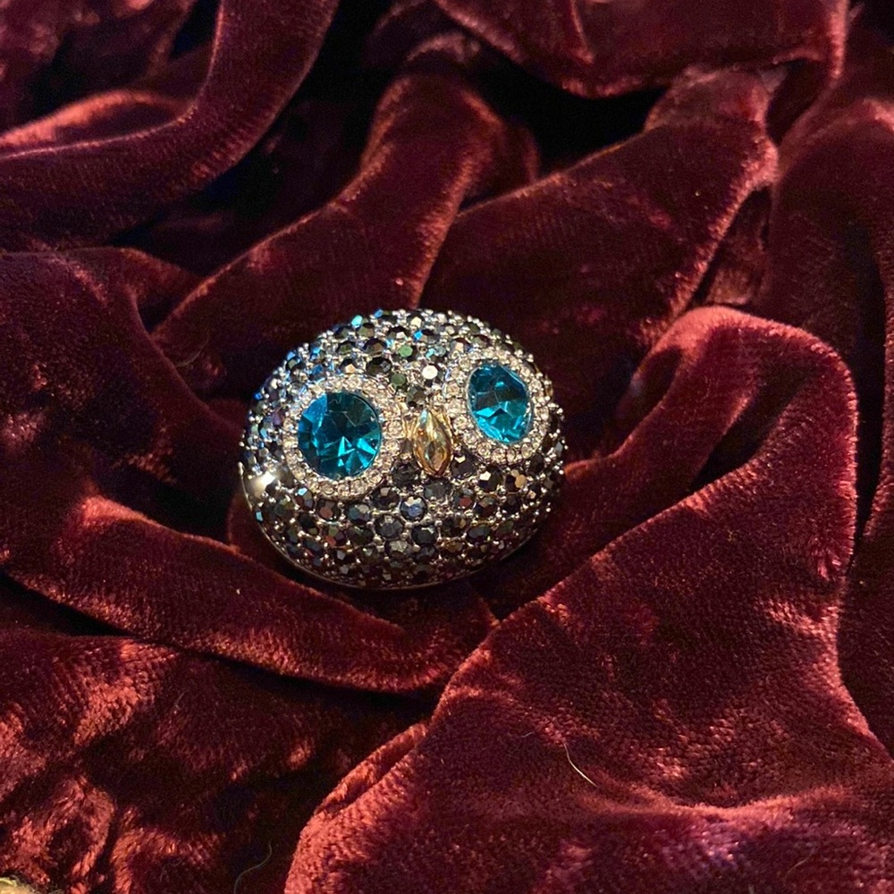 Gorgeous Fossil Owl Ring Rare